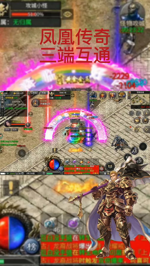 血战传奇手游与凤凰秀官方下载，一款独特软件的宝藏级解析及未来展望