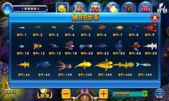 手机单机激活码和破解游戏捕鱼单机版,全面数据执行计划&AP1_v2.939