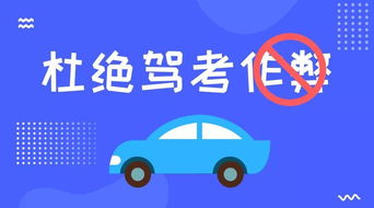 驾校宝典单机版及掌e通官方下载,实地分析数据设计 挑战款_v2.116