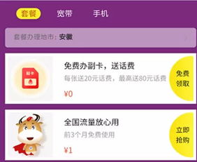 关于网络安全软件找你妹手机单机版及奇艺客户端官方下载，创新方案解析_1440p1_v4.482的详细介绍与分析