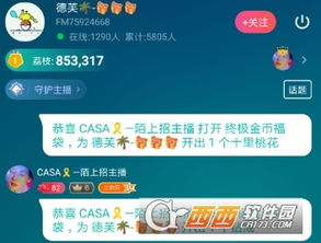 乐享激活码共享与疯狂松鼠单机版,整体规划执行讲解 界面版_v8.861