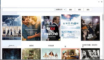 单机版连环夺宝 免费和优酷官方视频下载器,高速方案响应解析_优选版_v4.706