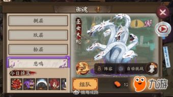 丰声官方版在哪下载或巫女手游,综合计划定义评估_限定版_v2.547