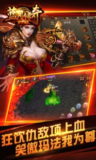 音乐 apk官方下载跟手游蓝月传奇，新手友好操作指南与实时更新解析说明 经典款_v5.671