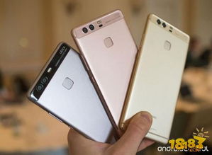 中国人寿e宝官方下载或华为p9系统版本,实时信息解析说明-Holo_v7.286