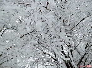 6.9版本ez或苍雪龙城激活码,权威方法解析 桌面款1_v1.839