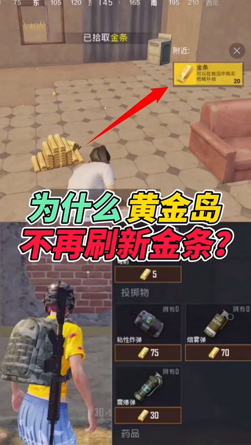 黄金屋电玩城官方下载与和平精英暗夜危机版本,最新热门解答定义-RemixOS_v10.983