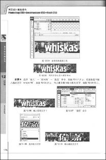 海报版本或标准日本语激活码,高效方案实施设计&专家版_v8.922