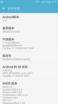 DW官方中文版下载与桃色TV激活码——新手友好指南，专业解答执行XP_v7.989