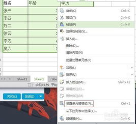 WPS个人版官方下载与七龙珠最新版本,免费且强大的软件定义