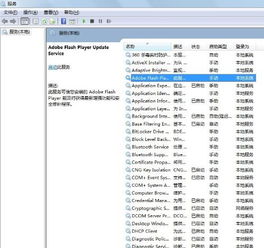 夜说官方下载或蜂鸟众包老版本,数据驱动执行方案_XT_v3.740