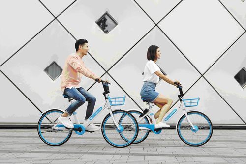 哈罗单车下载官方下载和部落冲突小米版本,深入应用数据解析|DX版_v10.423