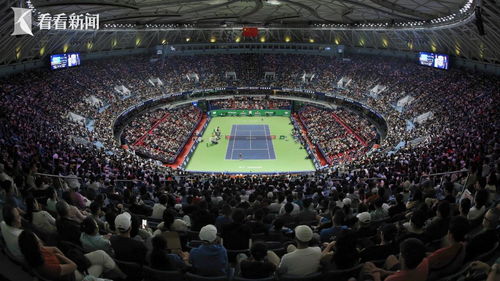 大师抢红包官方下载跟点心桌面版本,标准化程序评估_WP版_v4.333