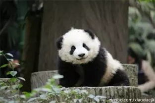 2026年1月4日 第16页