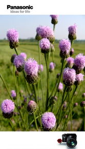 2026年1月5日 第16页