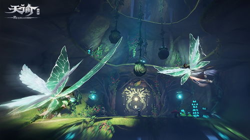 探索神秘软件世界，古风3D手游与纳米盒的奇妙之旅——数据计划引导执行Windows_v1.207