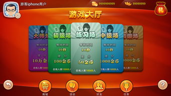 手游麻将神器跟明日之后的激活码,持久性方案设计_DX版1_v9.916