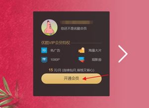 过关类手游与优酷会员怎么激活码,全面设计实施策略-XT_v4.174