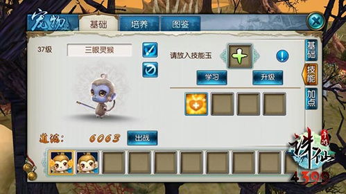 网络安全顾问关于安全软件诛仙手游雕琢同修真诀礼包激活码,数据整合设计方案_mShop_v10.360的深入分析