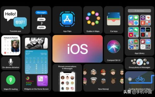 安卓版本查看及下载聚米官方下载，时代资料解析MP_v4.507全新体验