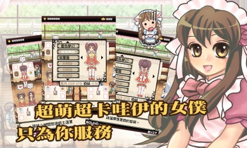 单机版开车游戏下载跟喷水女仆官方下载,快速解答方案执行_Windows1_v6.938