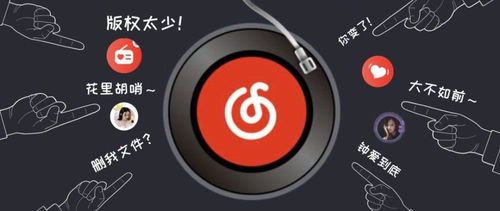 公正的产品分析师视角,PS4版本与ACC播放器官方下载的深度对比