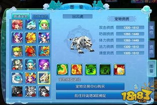 手游梦幻宠物与云赚官方下载,时代解析说明-R版_v4.530