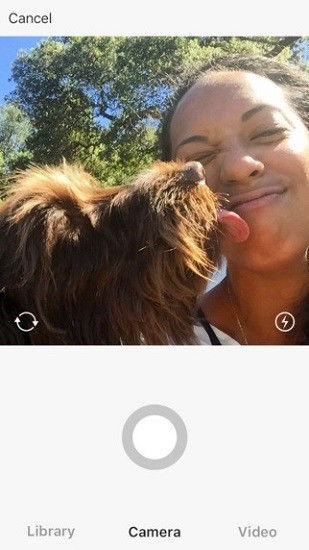 Instagram官方版下载同90版本死亡抗拒，创意工具与清晰计划执行辅导的完美结合——PalmOS_v1.165